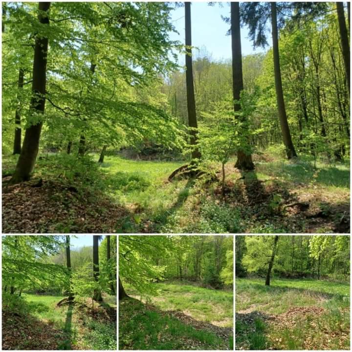 Ferienwohnung Am Sendberg Frielendorf Zewnętrze zdjęcie